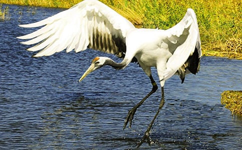 �ι۵���������ͨ��