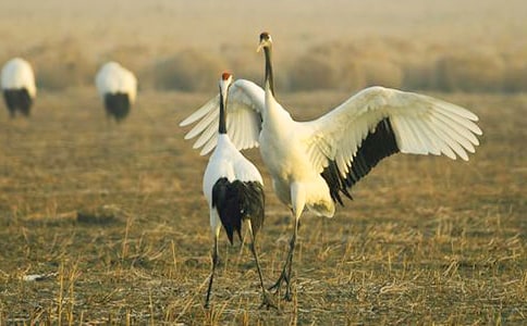 ������ĵ�����