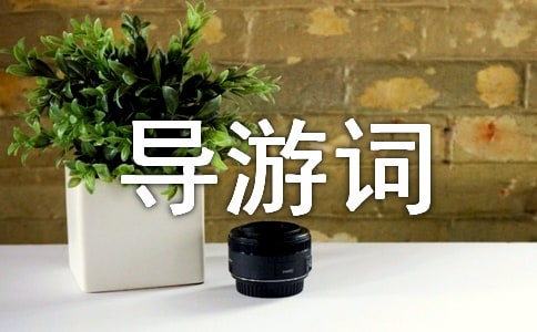 ����Ʒ������ﵺ���δ�5ƪ