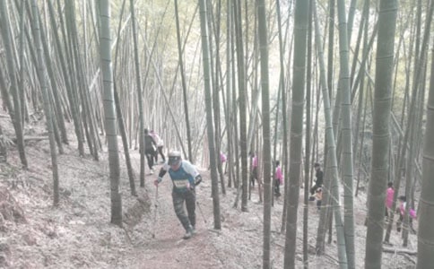 难忘的登山之旅-关于难忘作文