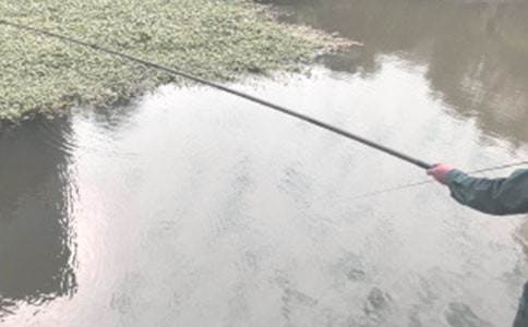 ����Ʒ�����꼶�������Ļ�����ƪ