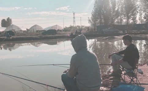 《钓鱼》读后感