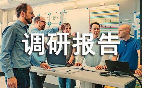 企业用工情况调研报告(实用)