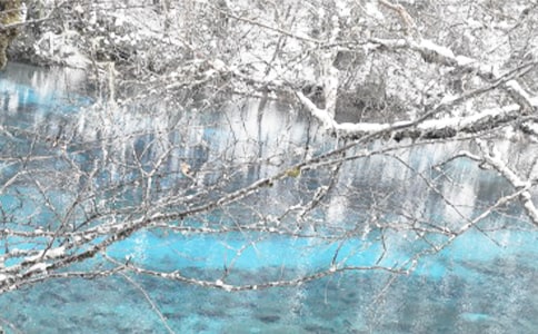 �������Ķ�������������