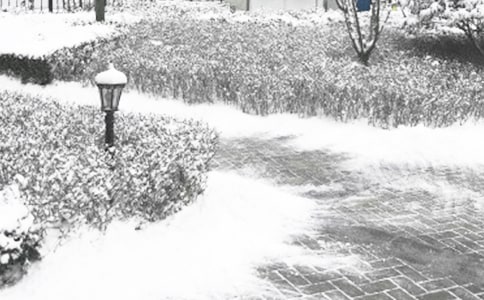 ���ڶ���ѩ���ĺôʺþ�