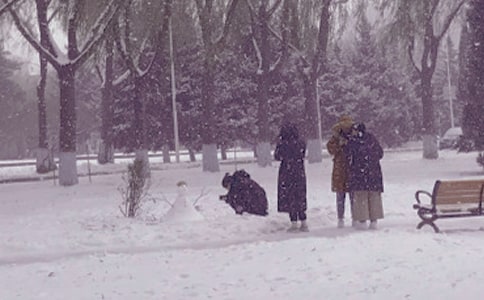 表达冬日里的古诗