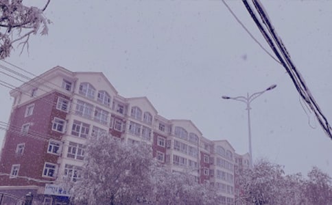 ����Ʒ���и�����