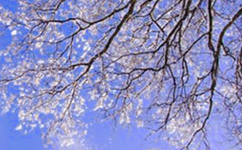 ��д�����ʫ��(���15ƪ)