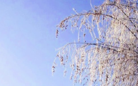 �ܹ���������600��