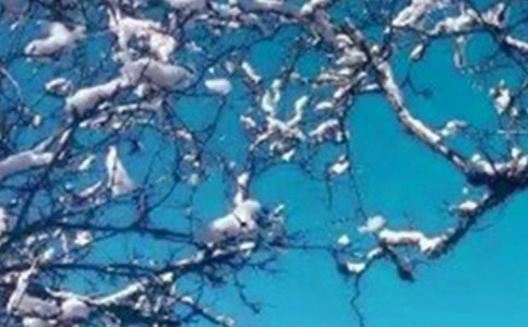 �붬���йصĺö�