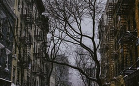 �йض���Ĺ�ʫ36��