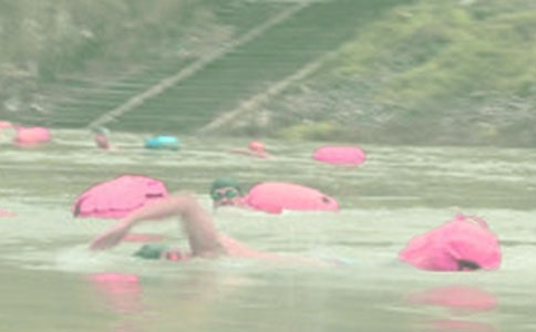 第一次冬泳二年级日记