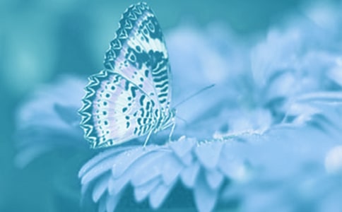 �����Ķ�ֲ�﹫԰֮�����ģ���ѡ30ƪ��