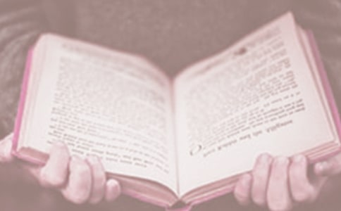 世界读书日主题活动方案11篇