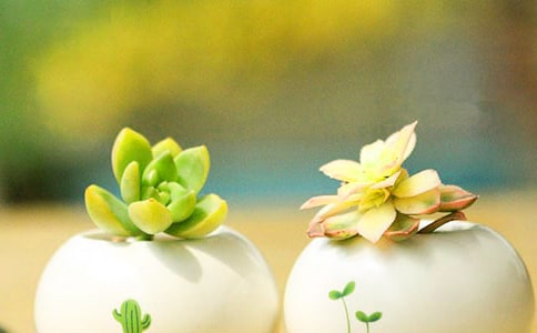 �������꼶���ģ�ͨ��24ƪ��