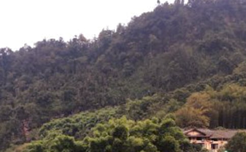 (����)��üɽ����