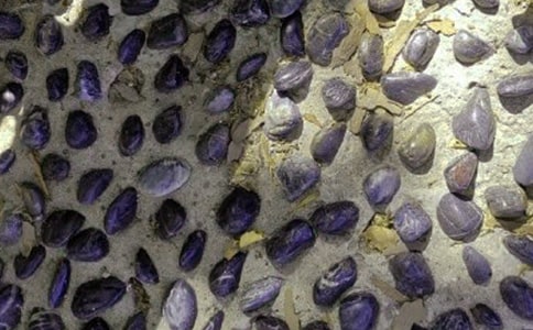 �μ��Ҷ���ʯ��ʲô��˼��