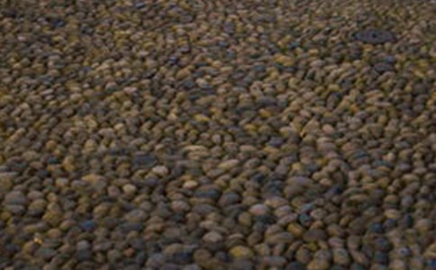 鹅卵石创意大赛活动策划书