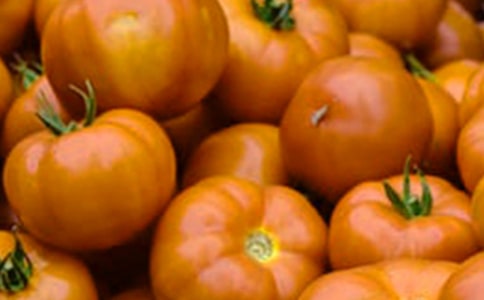 ����̫����ѧ���