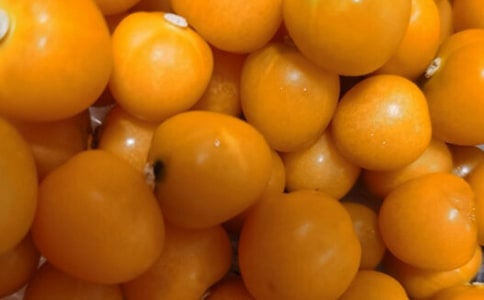 番茄太阳续写五年级作文