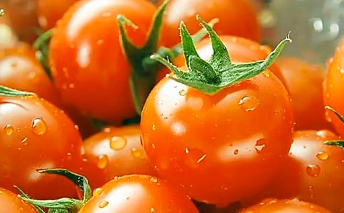 ѧ�����ѳ���