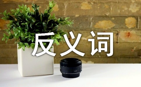 �Գ����еķ����