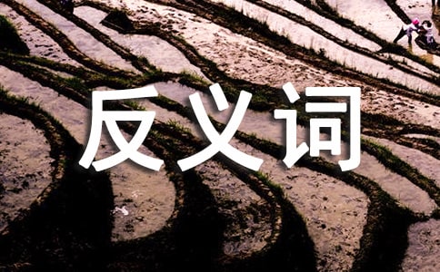 ΢���������ʲô