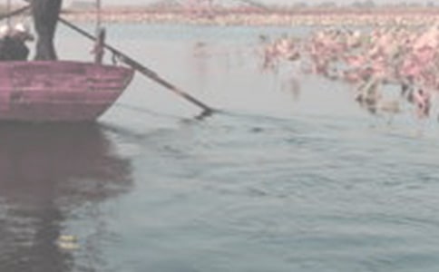 �����ֿͷ��ۼǡ�Ӣ�Ķ���У���ѡ11ƪ��