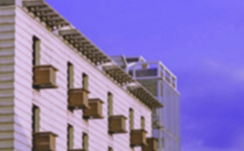 ��԰���.С���Ӽ�ʻ�