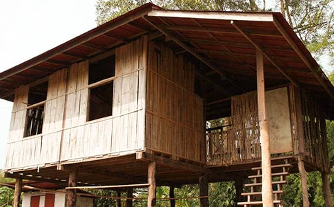 �йض����ͯ�����¡�С����С���ӡ�