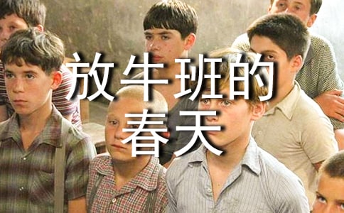 ��ţ��Ĵ���ۺ��