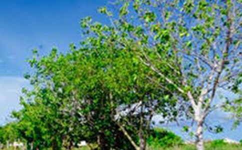 2023年形容风景的句子集锦35句