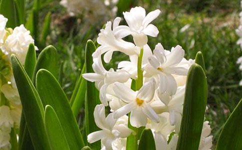 ��д�����ӵĹ۲��ռǣ�ͨ��15ƪ��