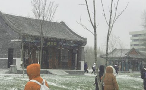 ���ֽ�ͷ��ѩɽ�������̰�