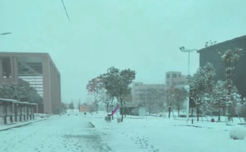 高中优秀作文:不畏嘲笑的风雪,勇越讥讽的荆棘