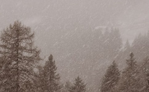 ��ѩ��������