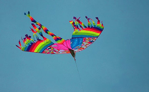 ���������꼶����3ƪ