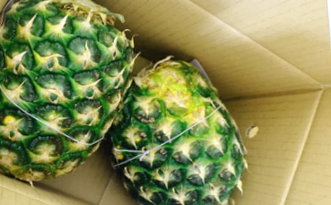 �μӿ�������չ�ռǣ�ͨ��12ƪ��