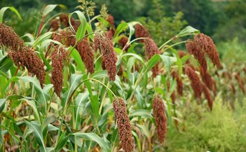 �˽̰����꼶���ġ������顷��ѧ�̰�