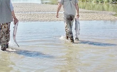 ����,ԭ����һֱ��ϲ�������־