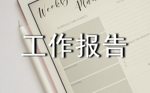 防汛安全隐患排查整治工作报告