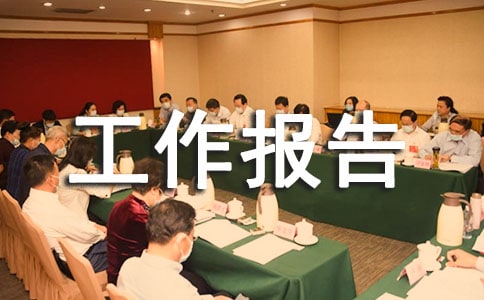 关于大件生产线工作报告范文参考