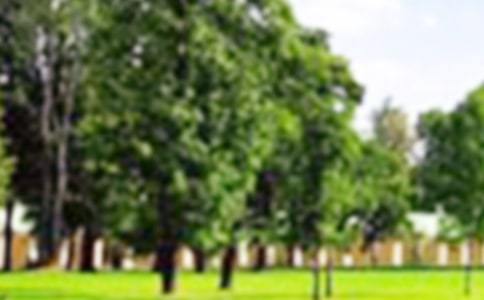 ��԰һ���ռ�400��