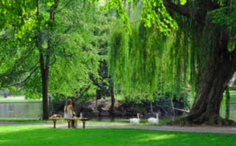 【推荐】公园四年级作文三篇