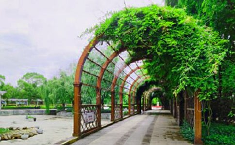 ¹��ͷ��԰��˵��