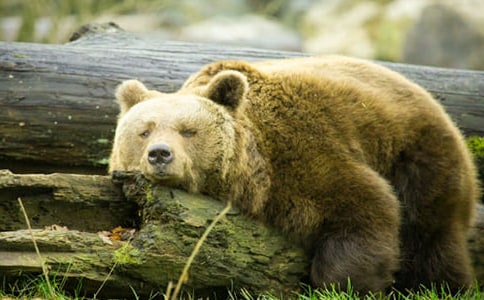 ���ܱ���װ���Ĺ���˯ǰ����