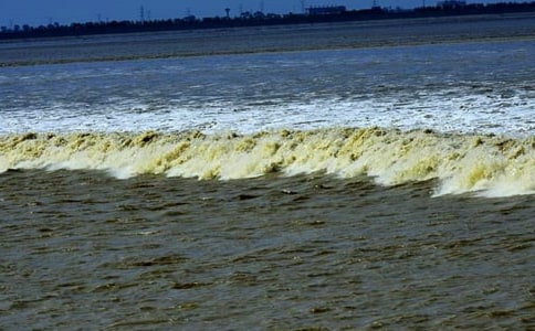 �������ġ��۳���˵�θ壨ͨ��11ƪ��