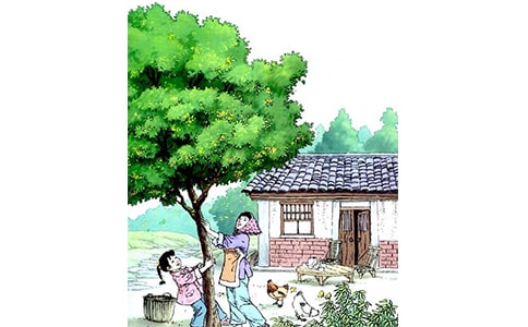 �йع����Сѧ���Ľ�ѧ��˼