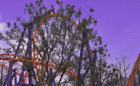 坐过山车作文15篇