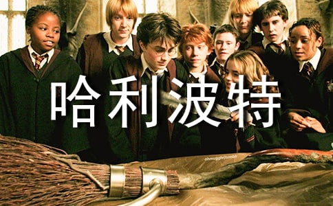 �Ķ����������и�